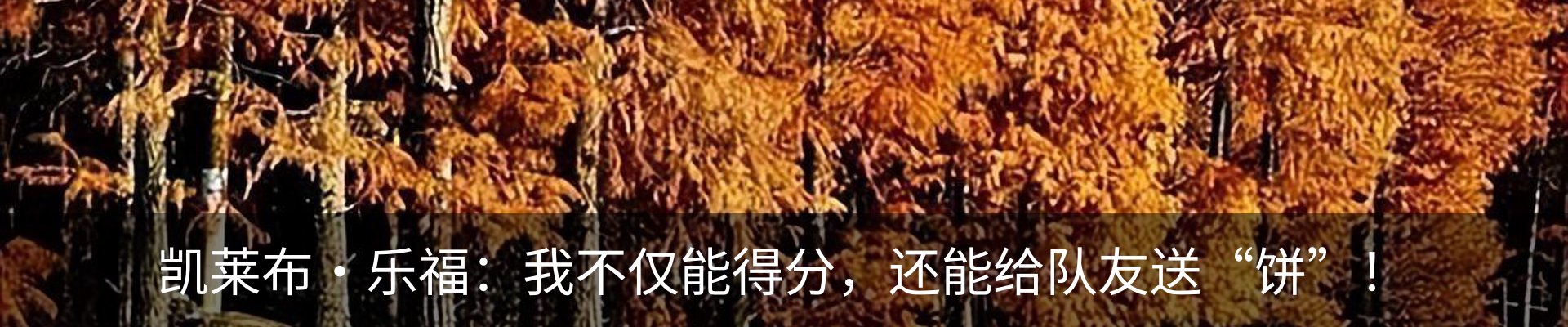 资讯动态