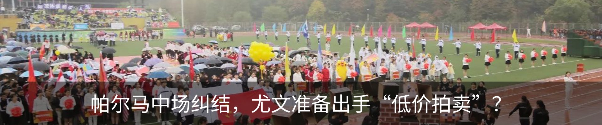 资讯动态